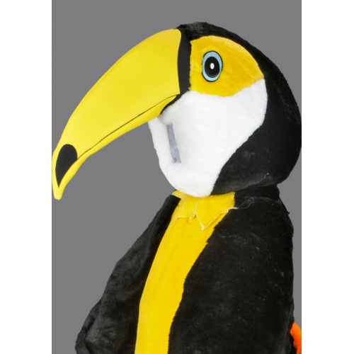 Toucan